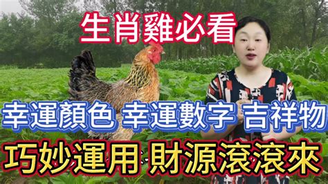 屬雞幸運顏色|屬雞必看：幸運色改變你命運